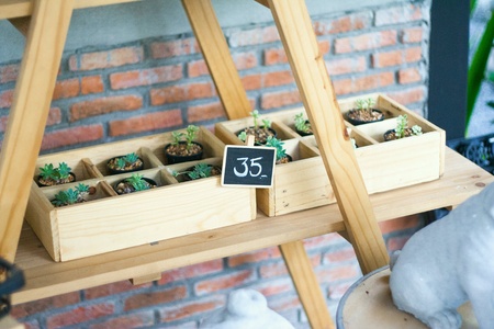 Cactus in wood container on wood stand in front of brick wall.の素材