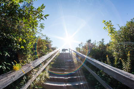 hikingの写真素材