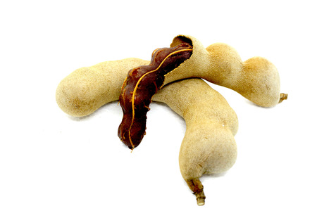 Tamarind on white backgroundの写真素材
