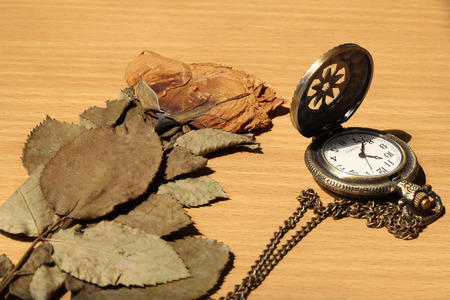 Withered roses background with antique watch with a chain.の写真素材