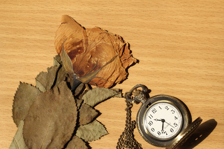 Withered roses background with antique watch with a chain.の写真素材