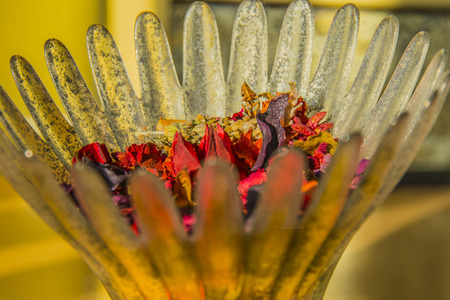 Colorful and colorful glass jar with flowers of all colors under the light of the morning in the warm Mediterranean sunの写真素材