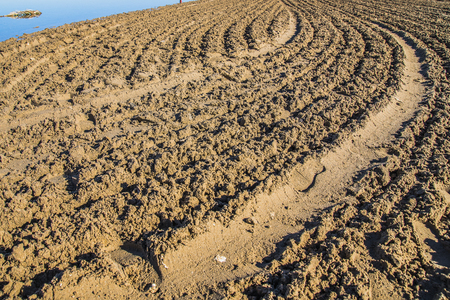 View of San Juan beach in Alicante, Spain on a sunny and calm winter morning without clouds and with temperate temperature and peaceful and relaxing environmentの写真素材