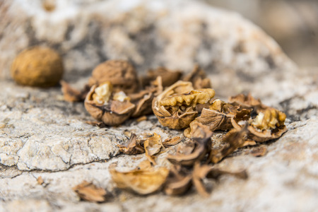 Delicious nuts with very healthy Ideal and highly recommended for a healthy diet for the human body that helps reduce cholesterolの写真素材