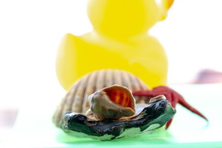 Starfish, seashells and others as a decoratives and ornamental objects Bright and warm colors representing summer, fun and holidays as well as good moments of relaxation and rest, cheerful and summeryの写真素材