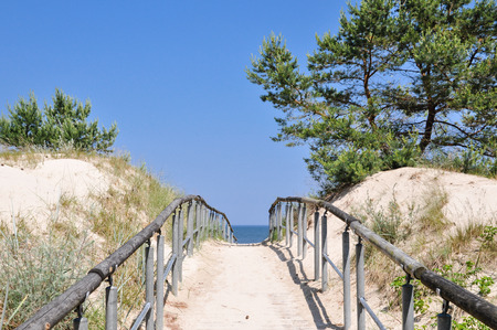 Path through dunes to the oceanの写真素材