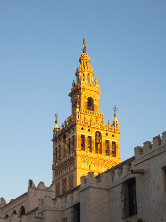 Cathedral and Giralda of Seville, Andalusia, Spain at evening lightの写真素材