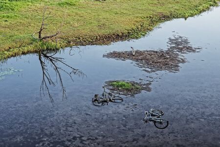 Dispose of two bicycles in a river as a symbol of environmental pollutionの写真素材