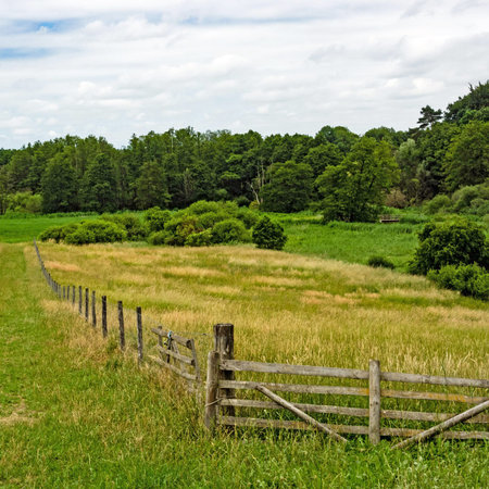 Landscape in Mecklenburg-Western Pomerania with meadows and fence, Germany