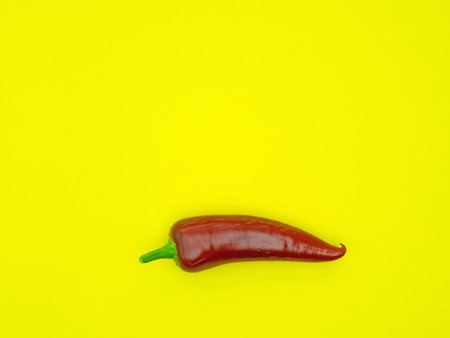 Close-up of one red chili pepper jalapeno isolated on yellowの写真素材
