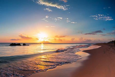 Beautiful sunset on the beach in Sri Lanka. Landscape.の素材