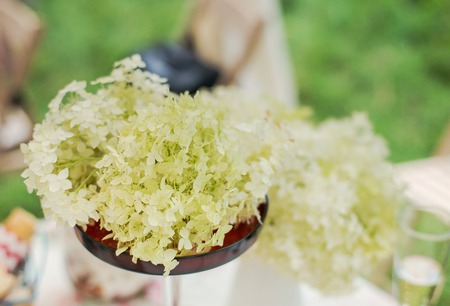 Decoration of the wedding dinner. Flower arrangement of hydrangeas.の写真素材