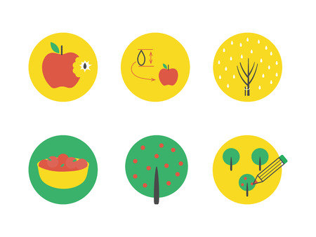Apple growing vector icons, startup, business conceptのイラスト素材