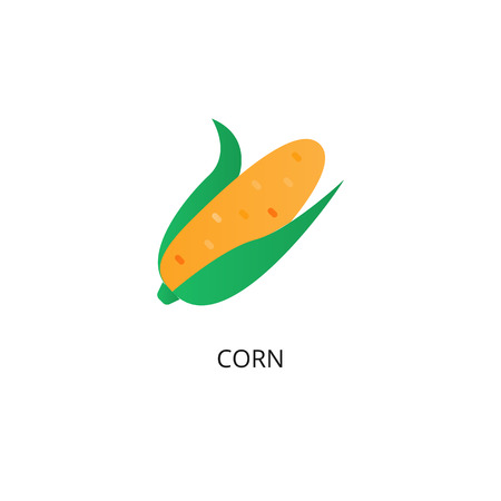 Corn vegetable flat vector iconのイラスト素材