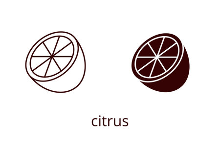 Citrus icon, line editable stroke and silhouetteのイラスト素材