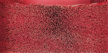 Joss Stickの写真素材