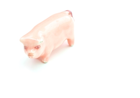 ceramic pigの写真素材