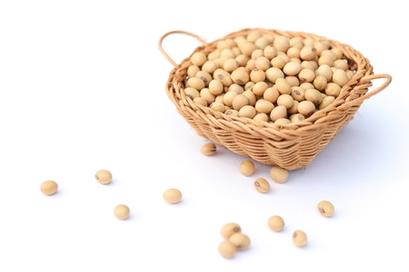 soybeansの写真素材