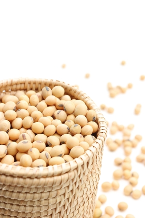 soy beans in wicker basketの写真素材