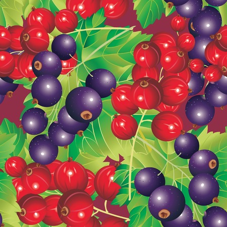 Vector background of Red and Black-currant (seamless pattern)のイラスト素材