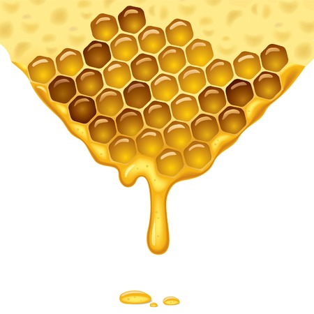 Flowing honey background. Vector illustration.のイラスト素材