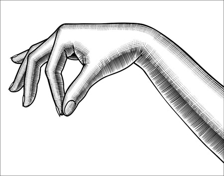Contour of woman's hand palm down with pinch fingers. Retro design element. Vintage engraving stylized drawing. Vector illustrationのイラスト素材