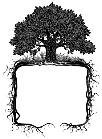 Oak tree with roots frame. Artistic banner and page design. Vintage engraving stylized drawing. Vector illustrationのイラスト素材