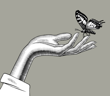 Woman's hand with a butterfly sitting on her fingers. Vintage engraving stylized drawing. Vector illustrationのイラスト素材