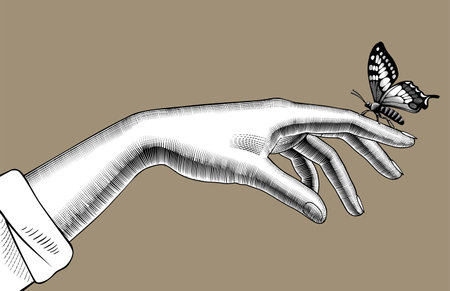 Woman's hand with a butterfly sitting on her finger. Vintage engraving stylized drawing. Vector illustrationのイラスト素材