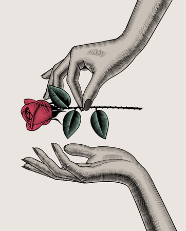 Woman's hand give red rose into other hand. Retro style valentine greeting card design. Vintage color engraving stylized drawing. Vector illustrationのイラスト素材