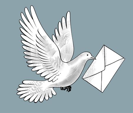 Flying white post pigeon with a letterのイラスト素材