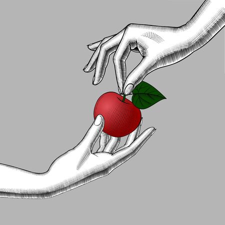 Woman's hands with an apple. Vintage engraving stylized drawing. Vector illustrationのイラスト素材