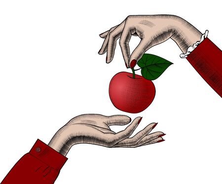 Womans hands with an appleのイラスト素材