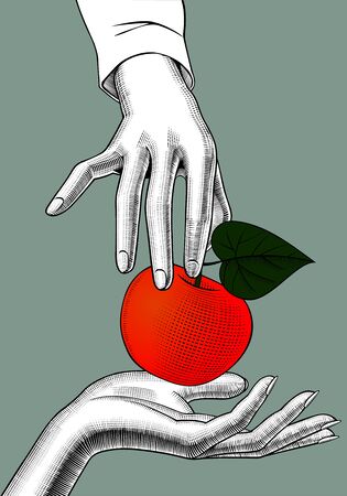 Woman's hands with an apple. Vintage engraving stylized drawing. Vector illustrationのイラスト素材
