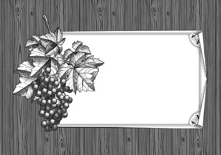 Bunch of grapes on old wood and desaturated. Poster for Italian restaurant. The theme for the menu. Vintage engraving stylized drawing. Vector illustrationのイラスト素材