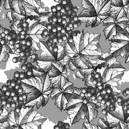 Grapes background. Seamless pattern of grapes. Bunch of grapes with leaves. Vintage engraving color stylized drawing. Vector illustrationのイラスト素材