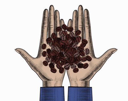 Coffee beans in women's hands. A hand holding a roasted coffee beans. Vintage engraving stylized drawing. Vector illustration.のイラスト素材