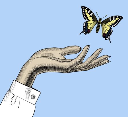 Womans hand with a butterfly.のイラスト素材