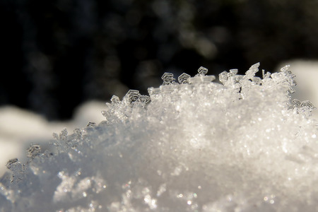 A crystal frost formed overnight on the snowの写真素材