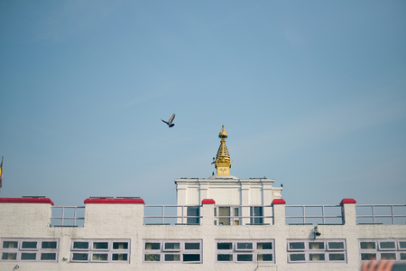Life in India : Lumbini, The Birthplace of the Lord Buddhaの写真素材