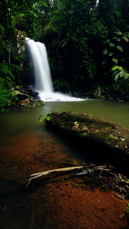 Australia Landscape : Curtis Falls of Tamborine National Park in Queensland
