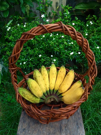 Banana in basketの素材
