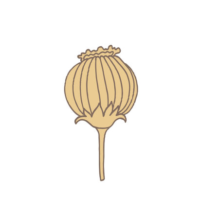 simple unusual flowersのイラスト素材