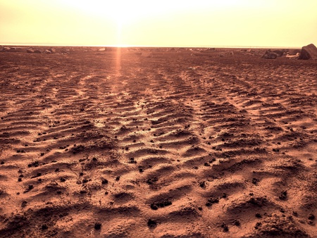 Beautiful patterns with sand on the beach.