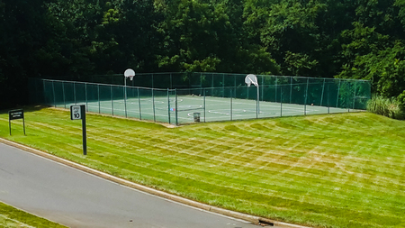 basket ball playing practice ground shot with green grassの写真素材