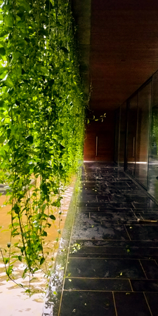Beautiful lobby interior