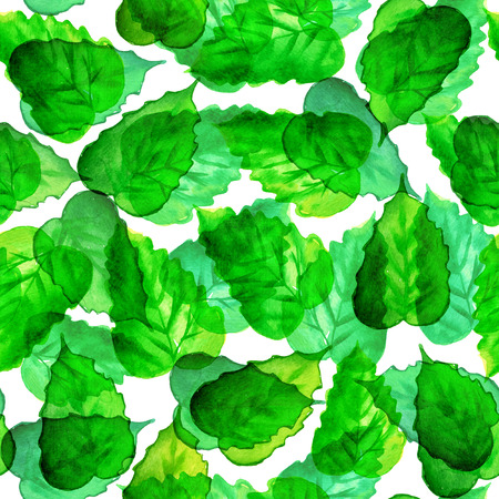 Seamless watercolor green leaves pattern with white backgroundの写真素材