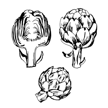 Hand drawn ink set of artichokeのイラスト素材