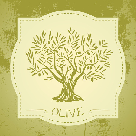 Grunge vintage label with olive treeのイラスト素材