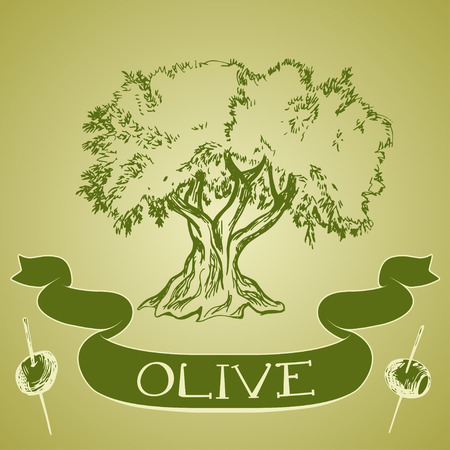 Hand drawn olive tree with label and olive sticksのイラスト素材